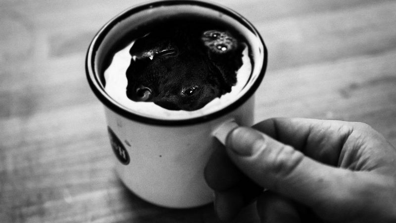 Kaffegram story photo 5